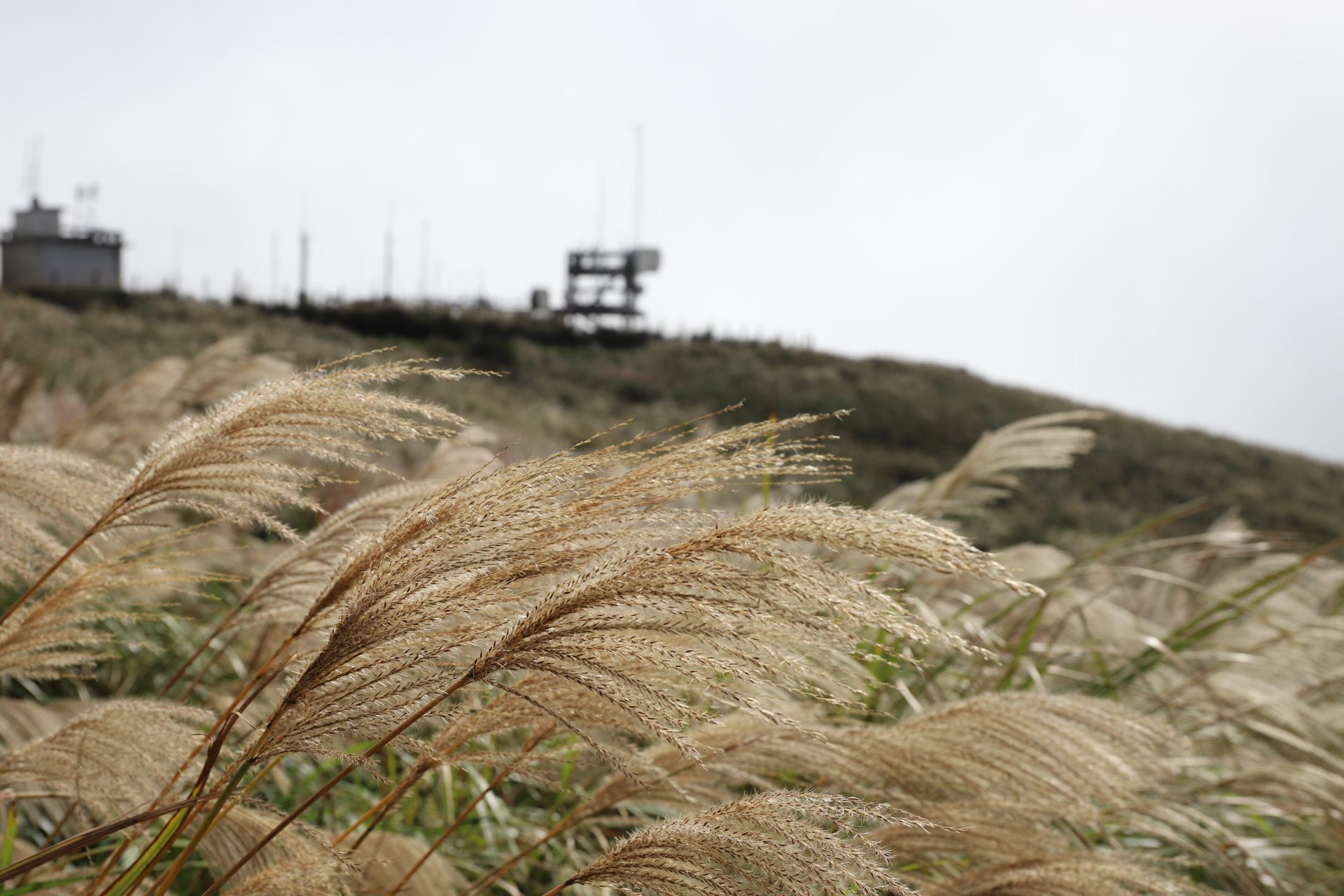 秋日的山區氣息雖美，氣候卻也瞬息萬變，登山前民眾應備妥防風、防寒衣物及足夠飲水，並留意午後雲霧聚集的天氣變化。（臺北市政府提供）