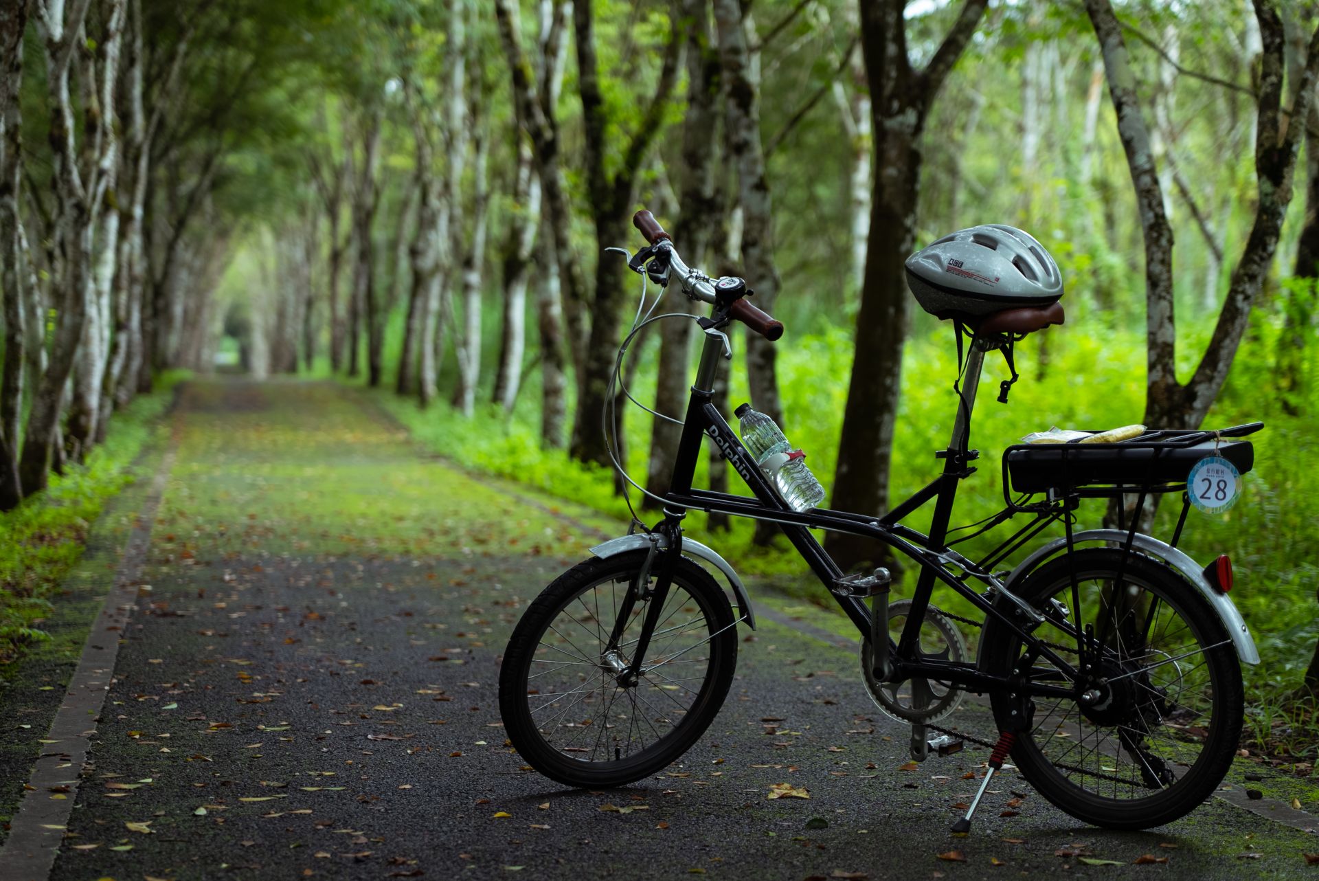 大農大富平地森林園區內設有自行車道，讓來訪遊客能夠邊騎單車邊吸收芬多精。（縱管處提供）