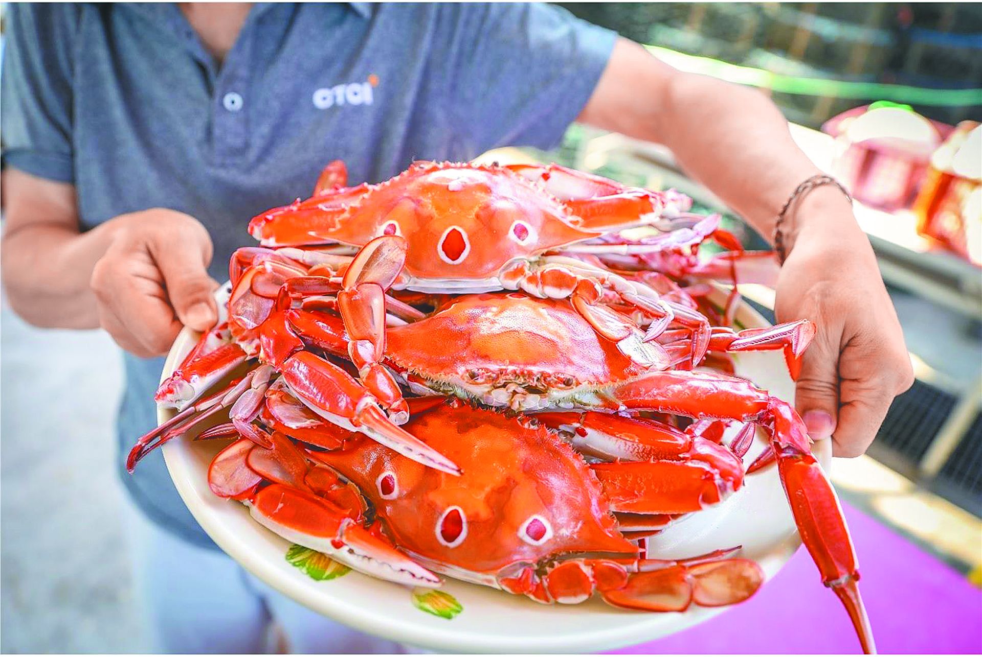 隨著時序入冬，萬里蟹季已邁向尾聲，今年萬里蟹鮮甜美味，吸引不少饕客品嘗。（新北市漁業處提供）