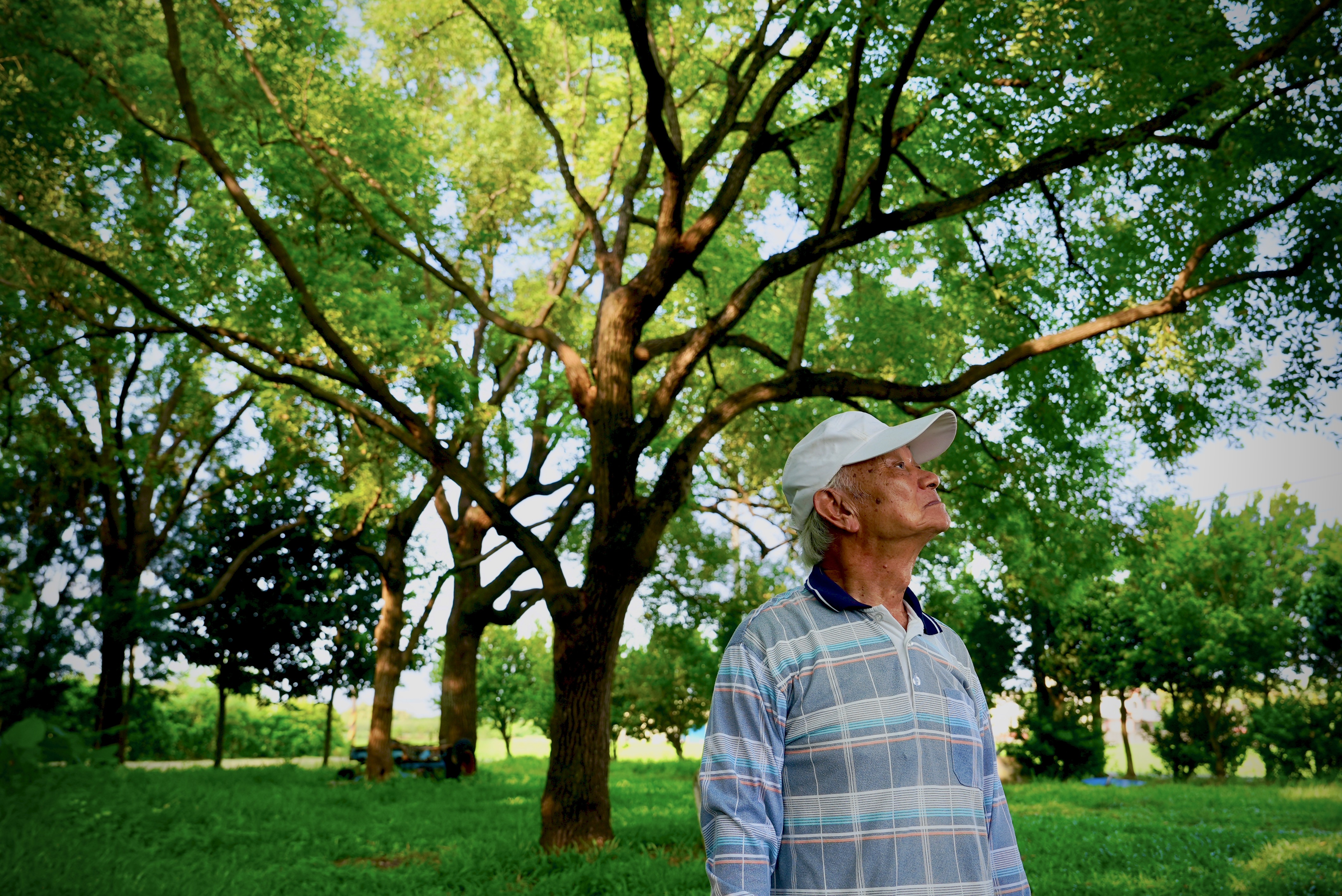《匠人魂》今日正式推出全新集數「種樹的詩人」，帶領觀眾深入了解臺灣鄉土文學中的代表作家吳晟挽起袖子，種下一棵又一棵的樹。（文總提供）