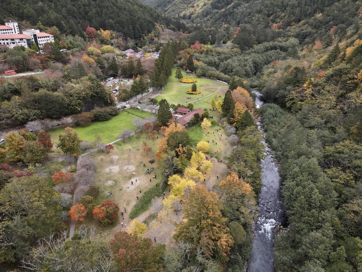 武陵農場祭出農特產品9折及楓紅梅香3天2夜行程。（觀光署提供）