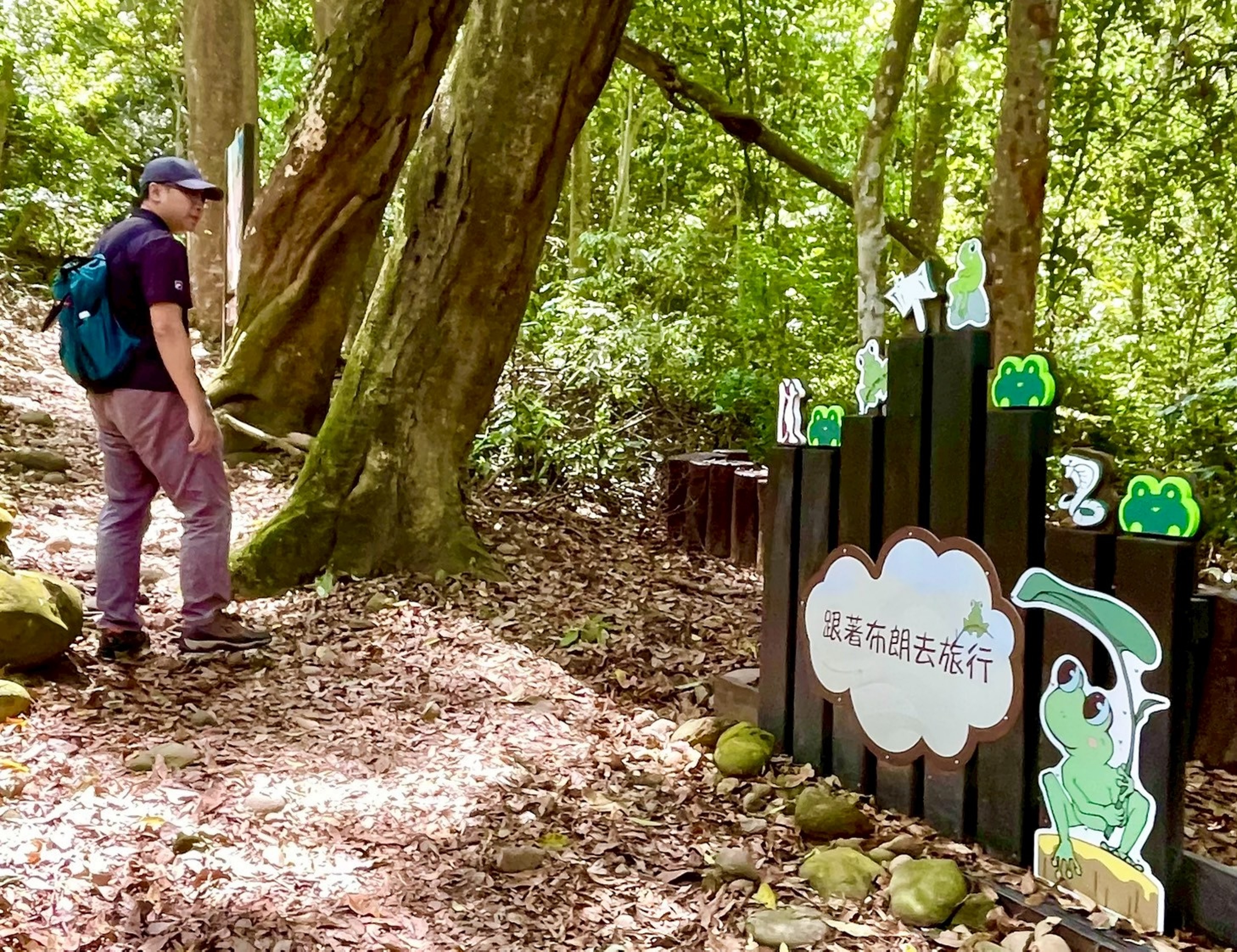  走訪大坑5－1號步道，可一邊探索布朗青蛙文學作品世界，一邊感受步道的豐富生態。（取自臺中市政府網站）