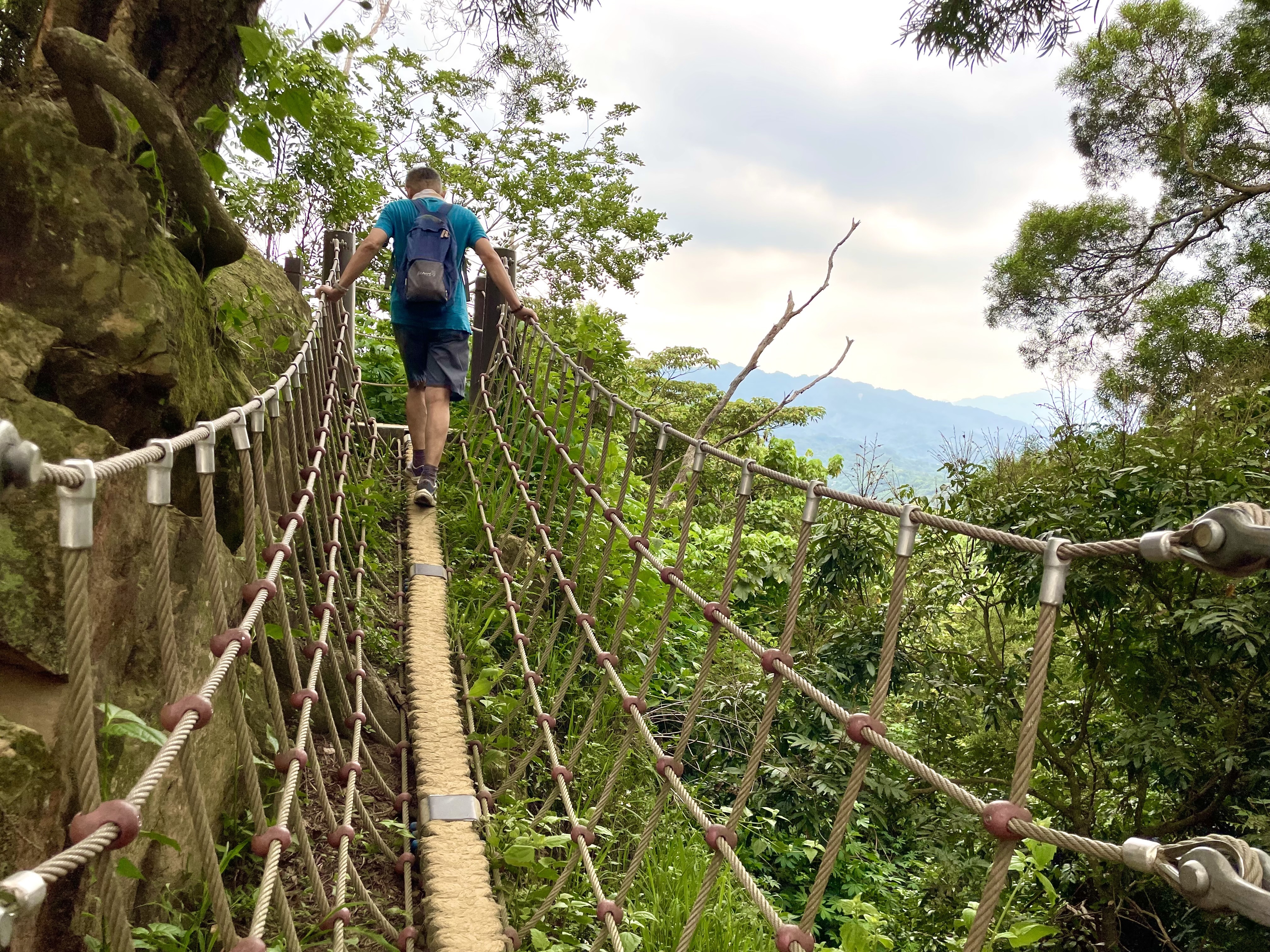  行走在大坑6號步道上的吊索橋有如迎向雲端。（取自臺中市政府網站）