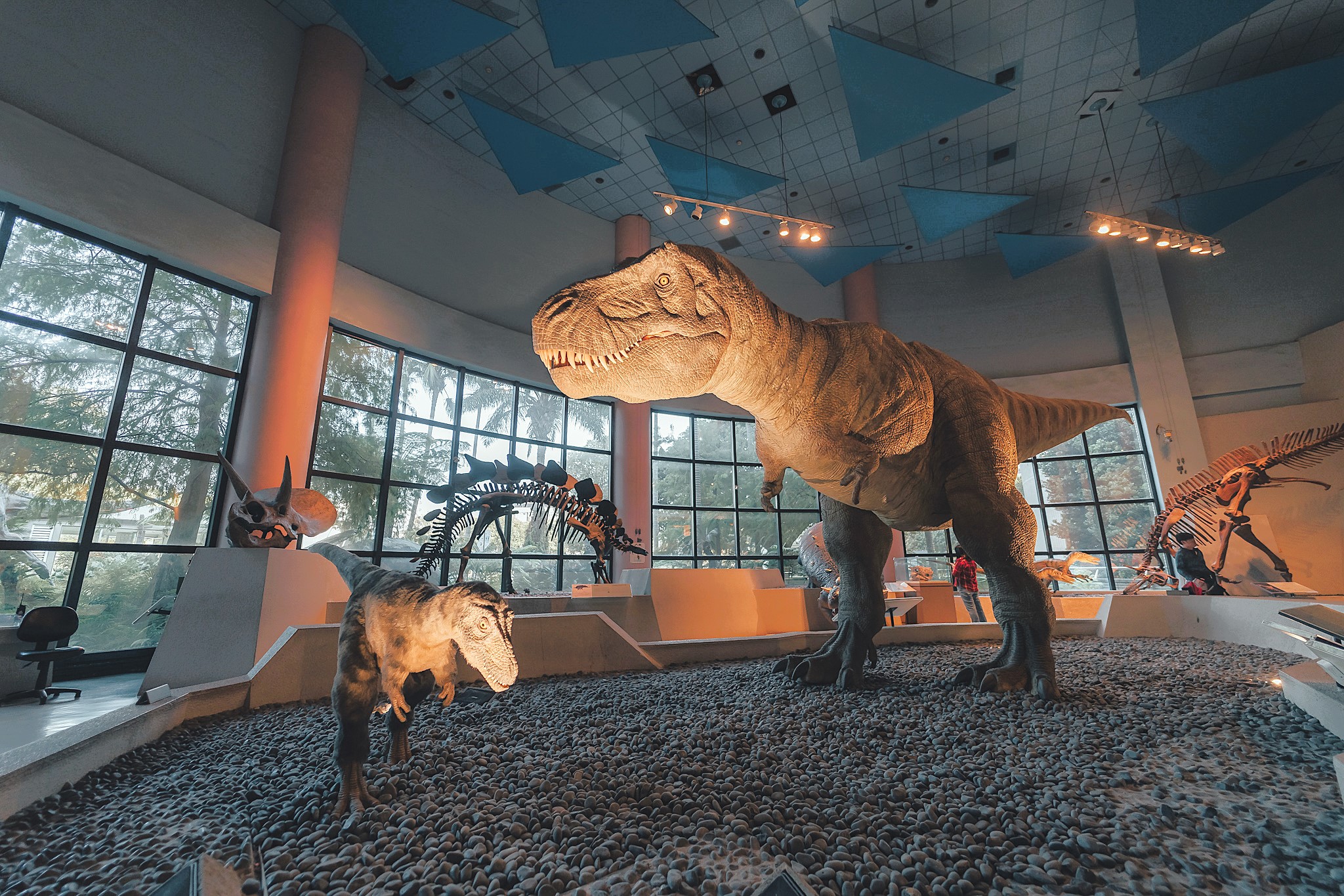 科博館明年全年每週五下午2時至5時開放展示場免費參觀。（觀光署提供）