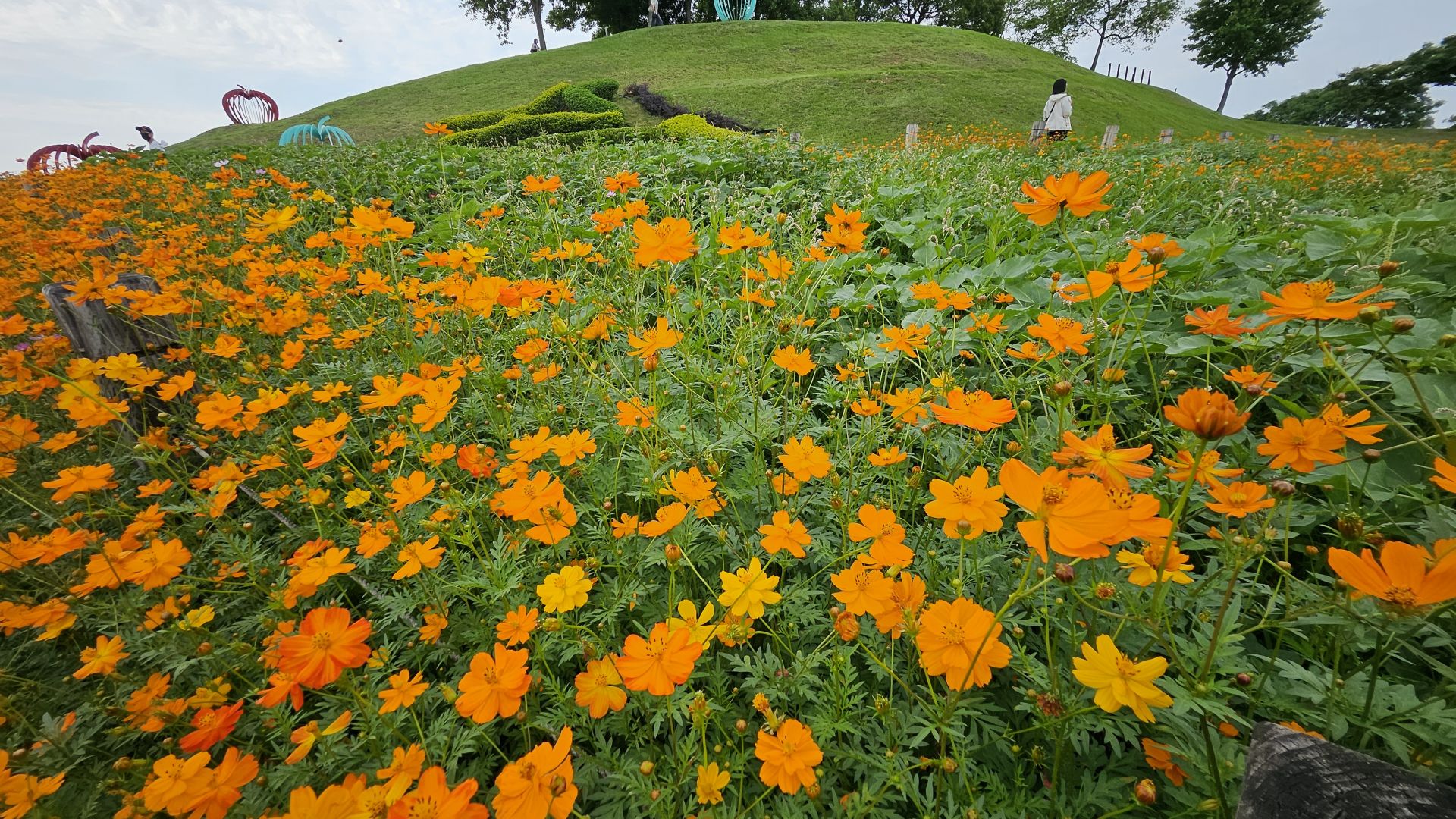 后里環保公園設有大面積的綠地空間，配合花卉營造舒適空間。（中市建設局提供）