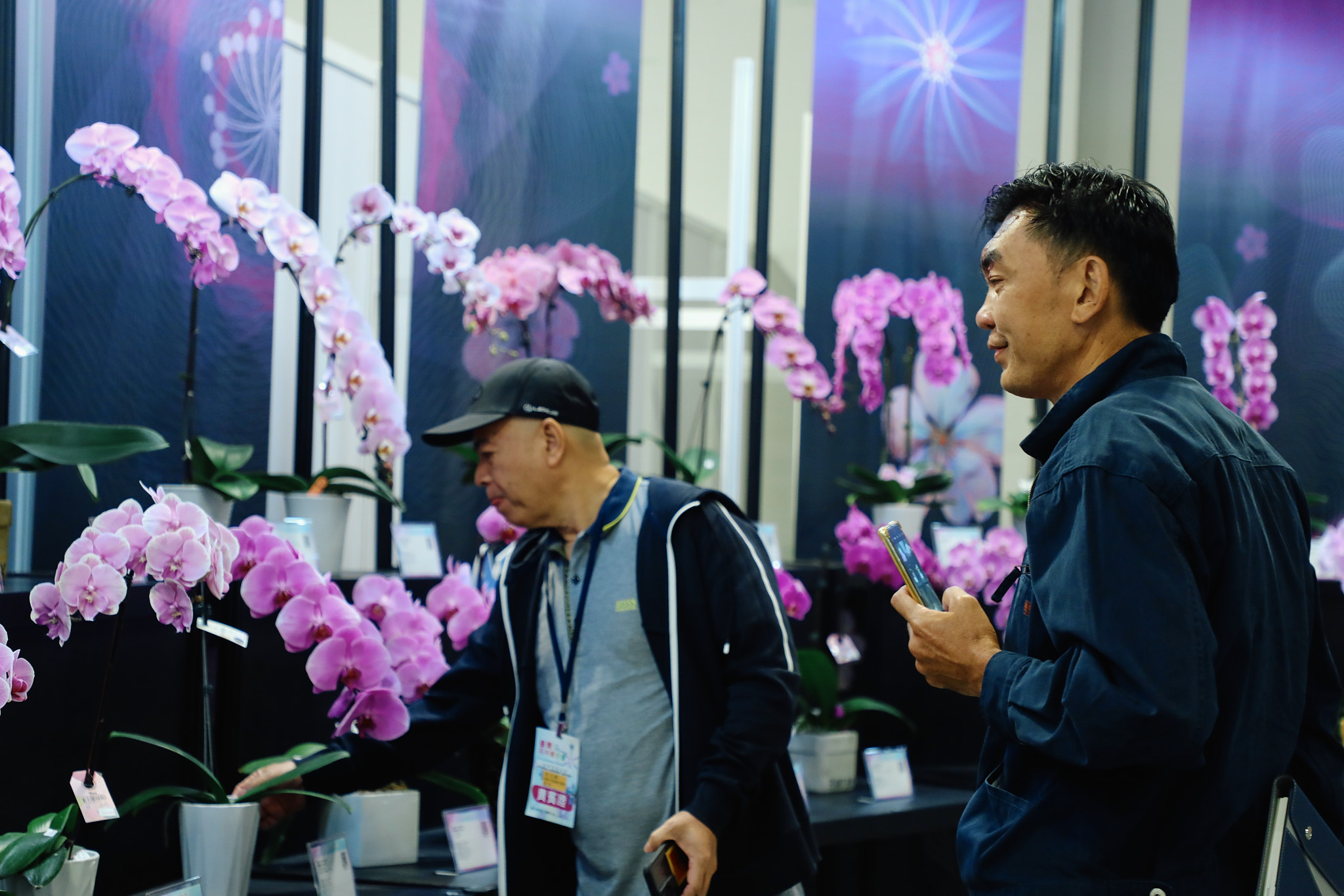 現場規劃6大主題區，展現國產花卉的最新育種亮點與生活美學應用。（記者古可絜攝）