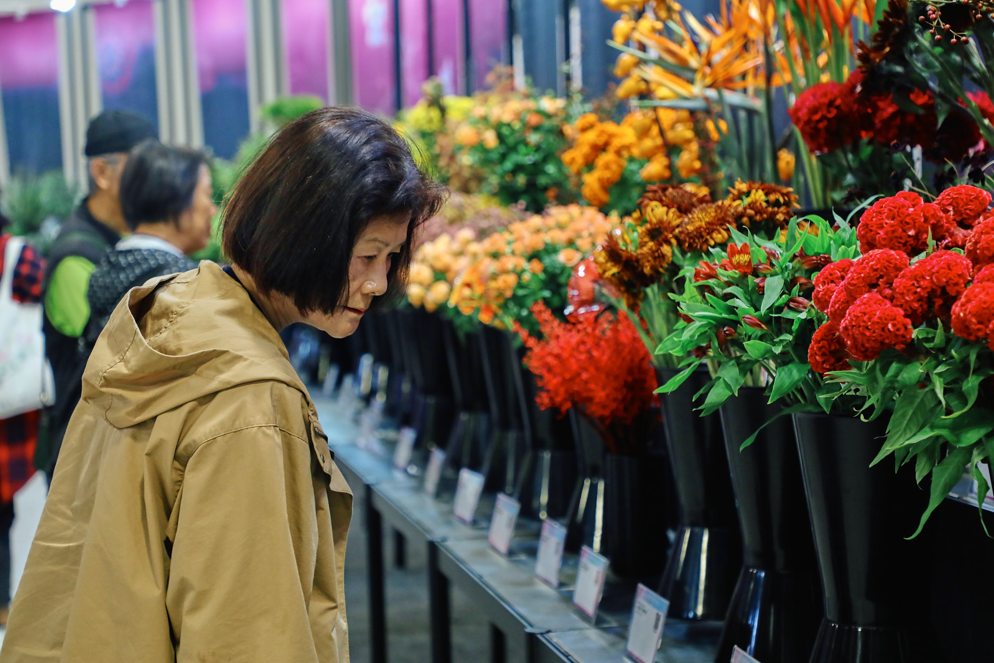 2025臺灣花卉推介會攜手產、官、學、研各界，展出超過1,500餘種花卉品種，包括各式切花、盆花、蘭花等年度新品。。（記者古可絜攝）