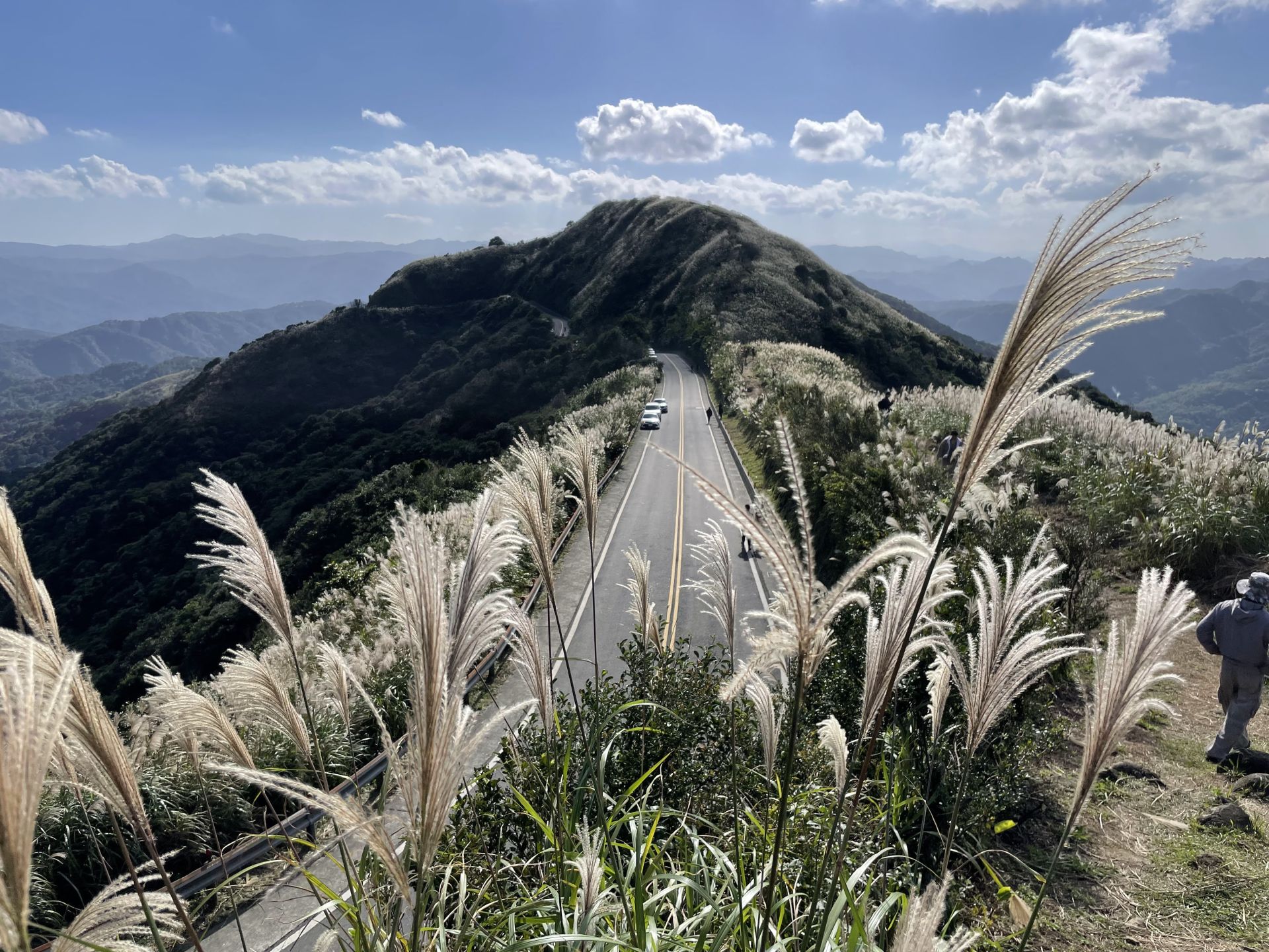 站在不厭亭眺望滿山芒花隨風搖曳，隨手一拍都是美景。（新北市觀旅局提供）