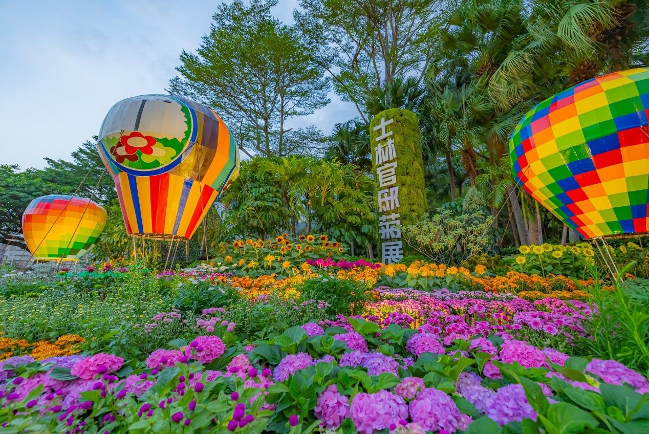 入口「藝菊圓夢」展區以熱氣球與雙翼機象徵啟航。（臺北市政府提供）