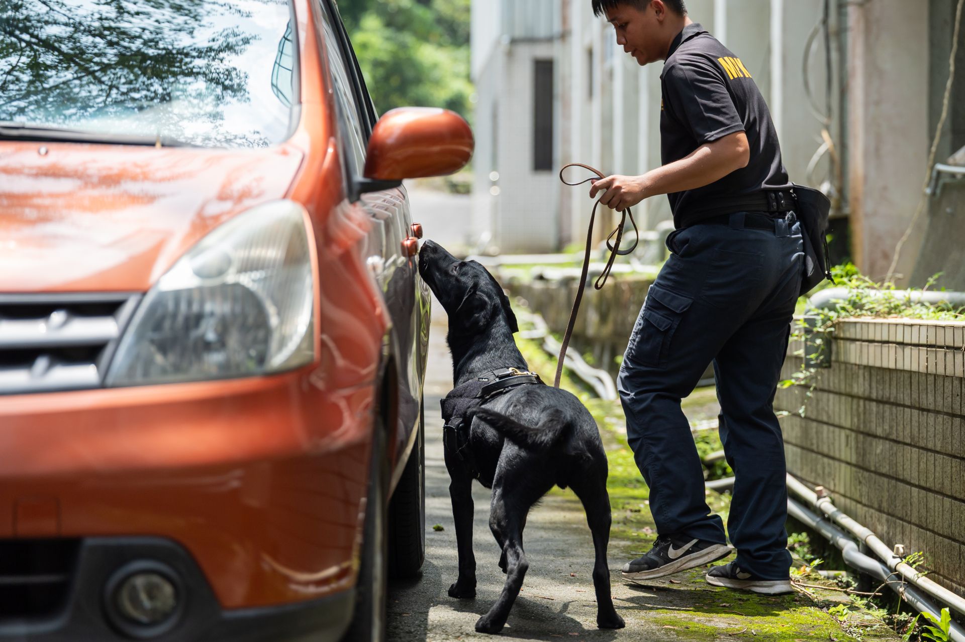 K9軍犬負責搜尋所謂相關爆裂物，以維持現場的安全。（文總提供）