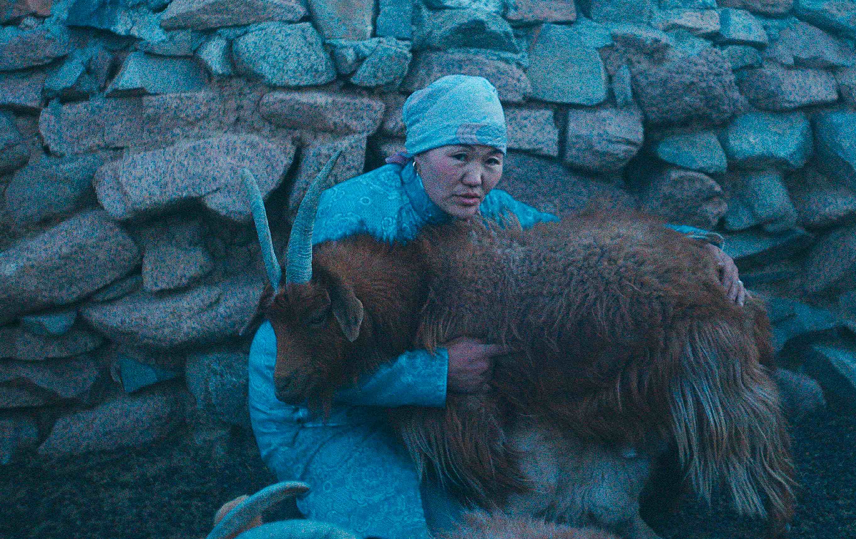 「2025世界民族電影節」開幕片為蒙古國電影《狼群總在夜晚來臨》，不只是關於氣候變遷的警示，也是一封寫給遊牧文化的情書。（文化部提供）