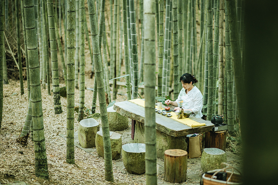 在綠意盎然的山林中體驗竹林茶席。（主辦單位提供）
