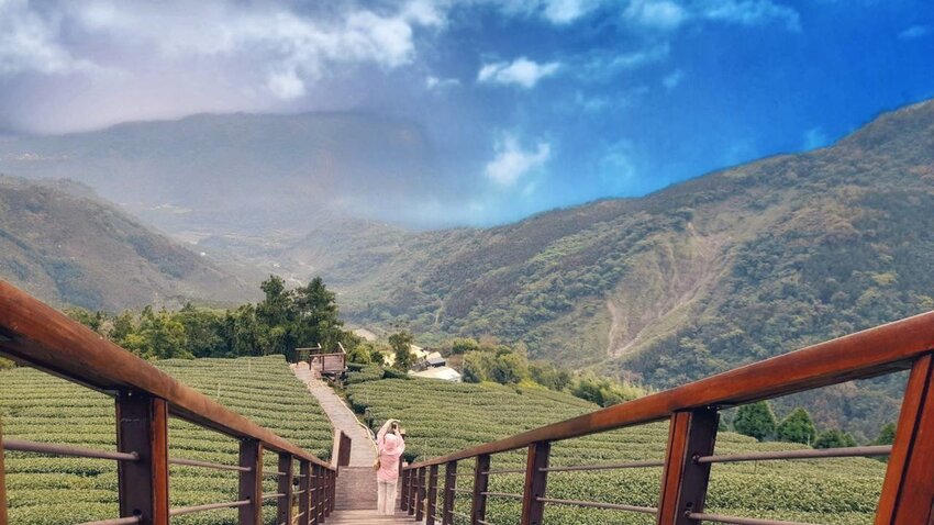 午後踏訪巃仔尾步道，全長約800公尺、落差約200公尺，可在專業導覽下欣賞茶園、杉林與溪谷景致。（記者張益銘攝）