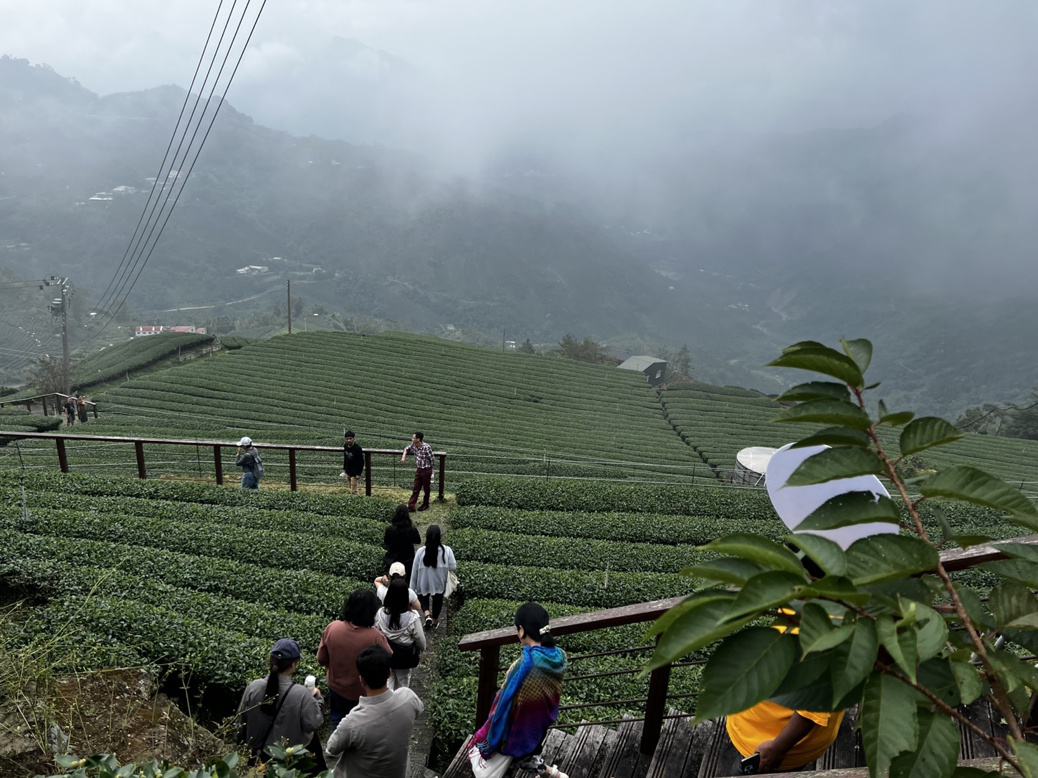 午後踏訪巃仔尾步道，全長約800公尺、落差約200公尺，可在專業導覽下欣賞茶園、杉林與溪谷景致。（記者張益銘攝）