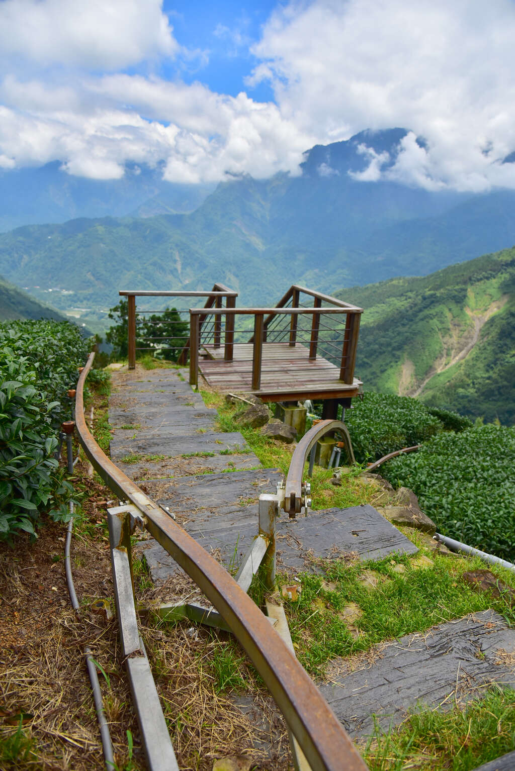 午後踏訪巃仔尾步道，全長約800公尺、落差約200公尺，可在專業導覽下欣賞茶園、杉林與溪谷景致。（記者張益銘攝）