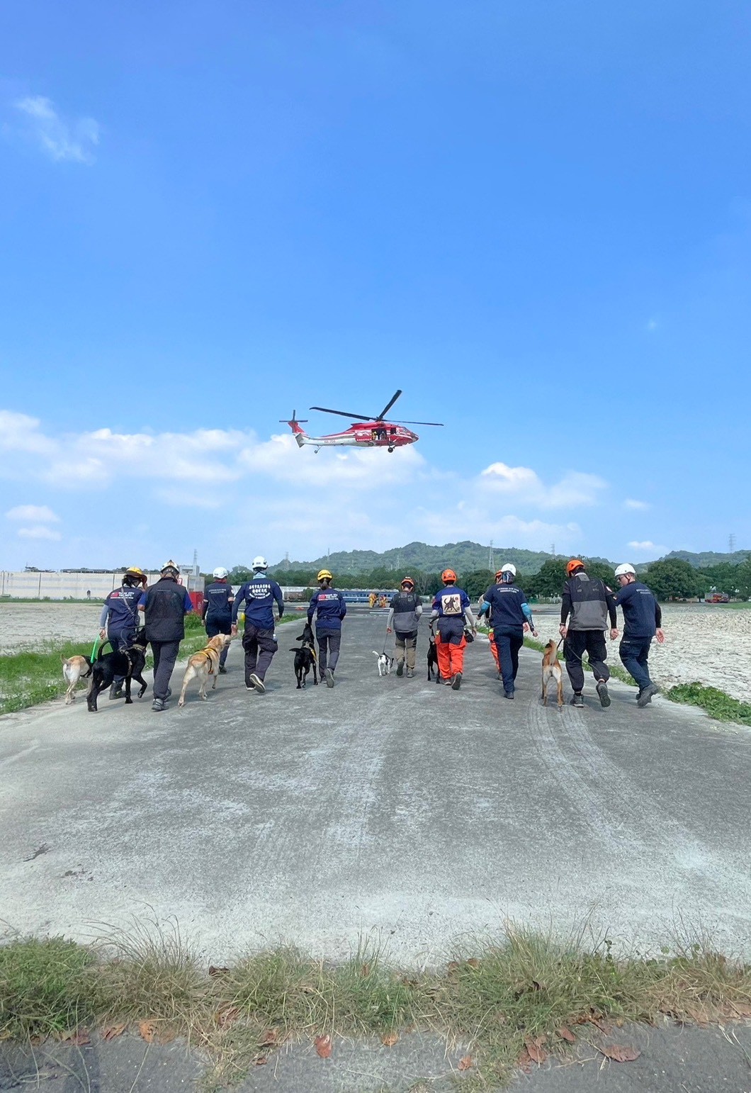 消防署特種搜救隊今（3）日舉行「臺德搜救犬交流訓練」，共有6組隊伍通過「路徑追蹤搜救犬」測驗，將成為搜尋山域及失蹤人口的好幫手。（圖由消防署提供）