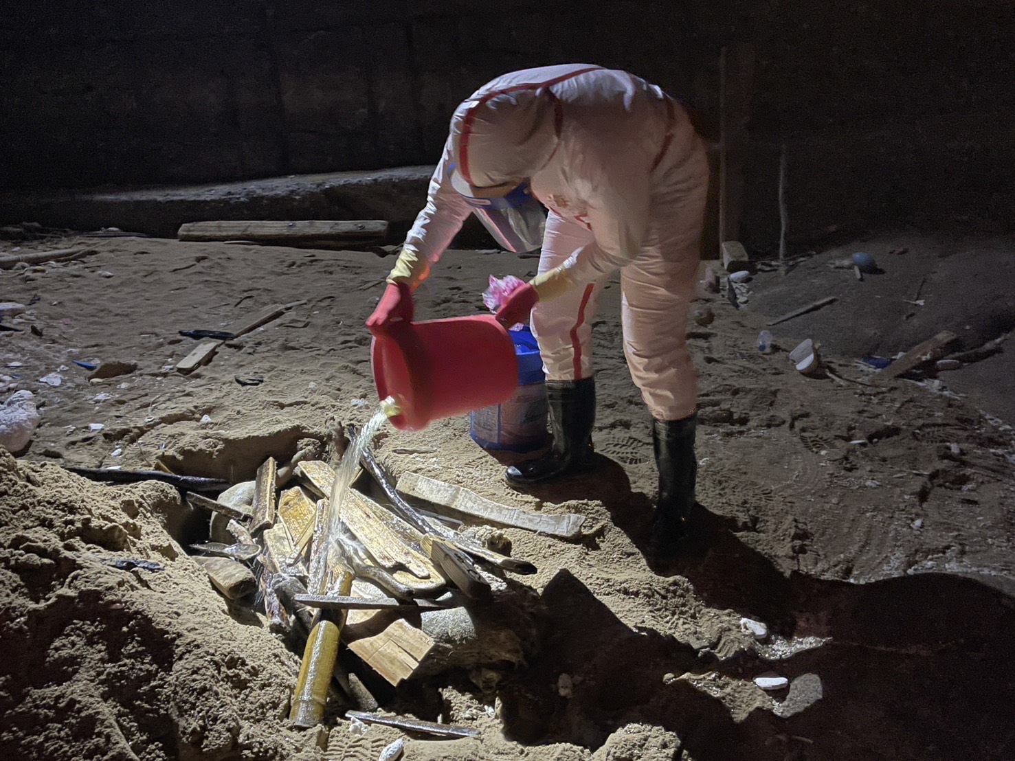 連假前夕馬祖北竿發現海漂豬，海巡署防疫總動員，嚴守國門。（圖由海巡署提供）