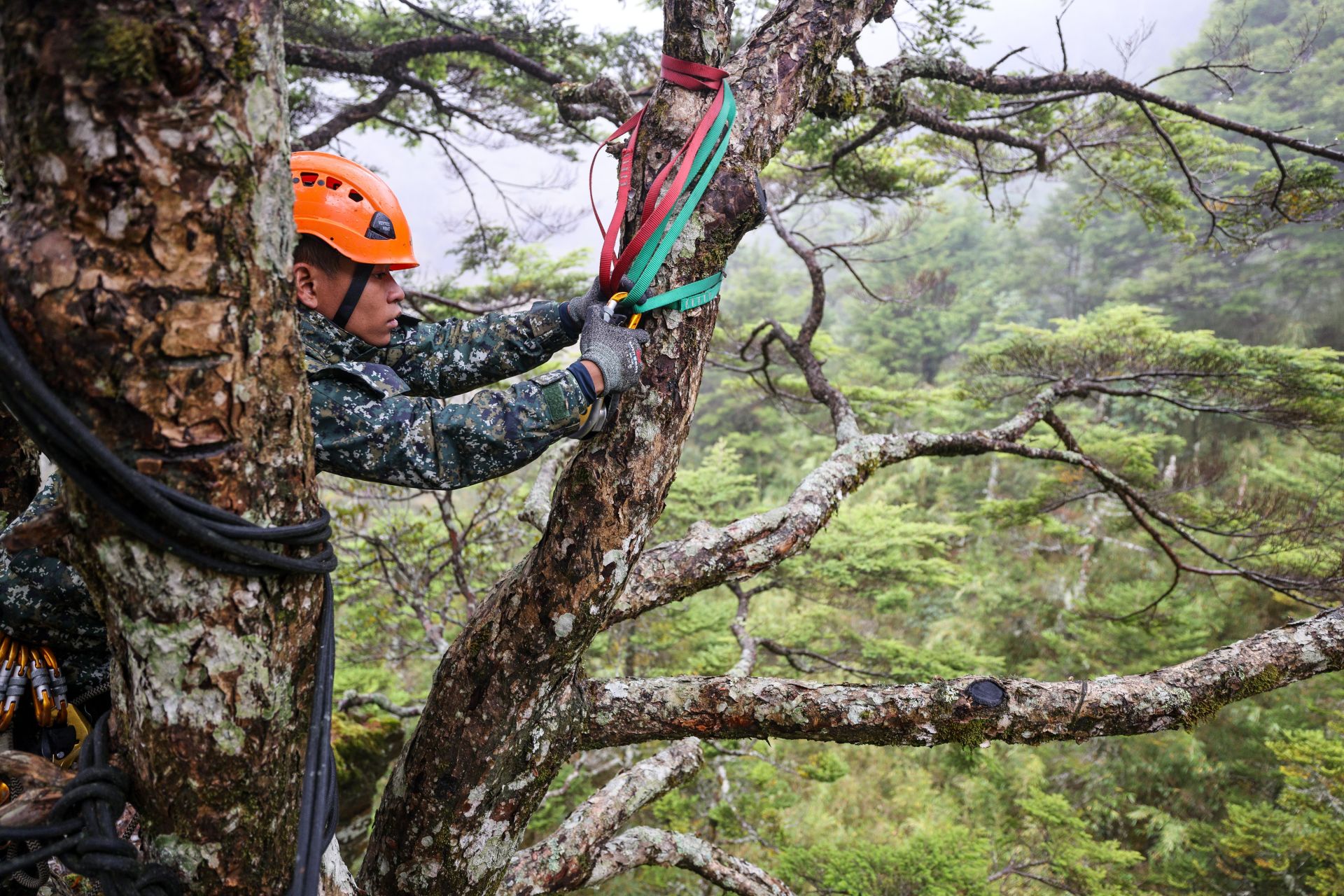 學員在垂直岩壁上選定固定點，完成繩索系統架設，準備實施垂直地障攀降。（記者王子昌攝）