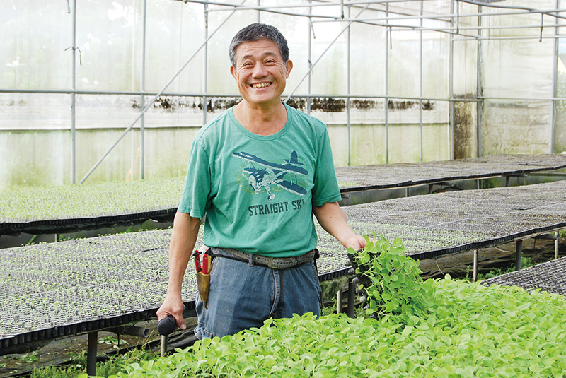 黃克賢每天親近泥土和陽光，皮膚晒得黝黑，是一位經驗豐富的有機蔬菜達人。