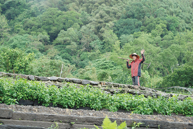 頭城農場的好山好水，讓來訪的客人徜徉其中，學習尊重生命、珍惜寶貴的大自然環境。
