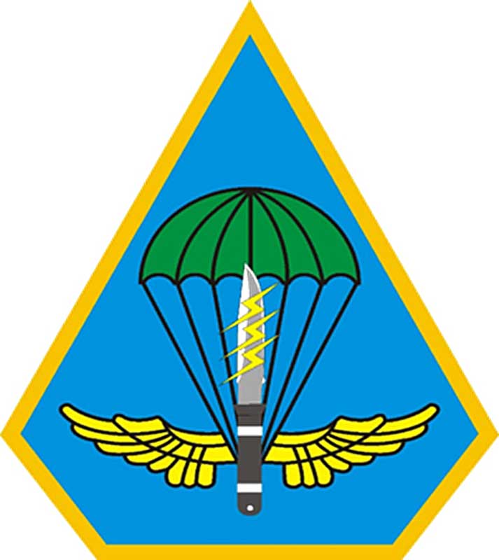 展翅的鷹翼象徵航特部的機動迅速、反應快捷，具有全天候偵蒐、打擊、運輸及突擊的作戰能力。