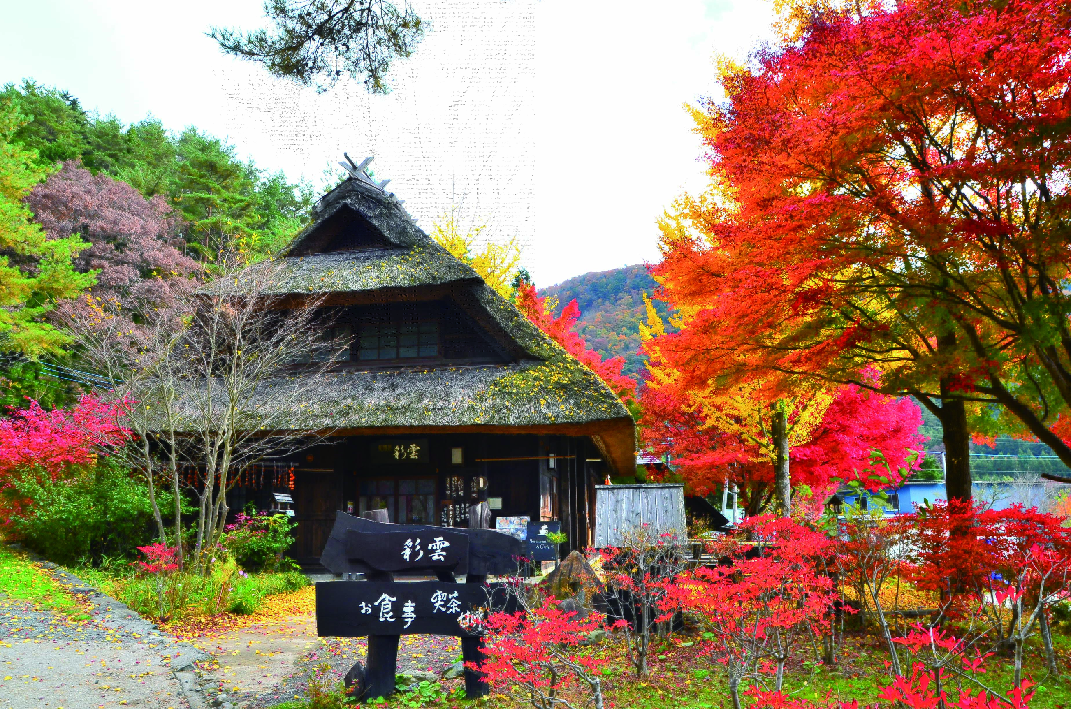 日本的秀麗風景及美食，是國人海外旅遊首選。