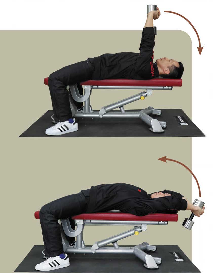 仰臥拉舉
1. 身體仰躺於椅凳上，雙手十指交叉合握一個啞鈴頭內緣，將雙臂推直、將啞鈴推至胸部上方。
2. 吸氣、閉氣、收緊核心，將啞鈴穩定的往頭部後方下放，至底處時略為停頓，此時手肘微彎。
3. 背闊肌、胸大肌與肱三頭肌用力將啞鈴拉回原處，此一過程緩緩吐氣。注意，此一動作下背全程應貼緊椅面，避免拱起腰椎。
