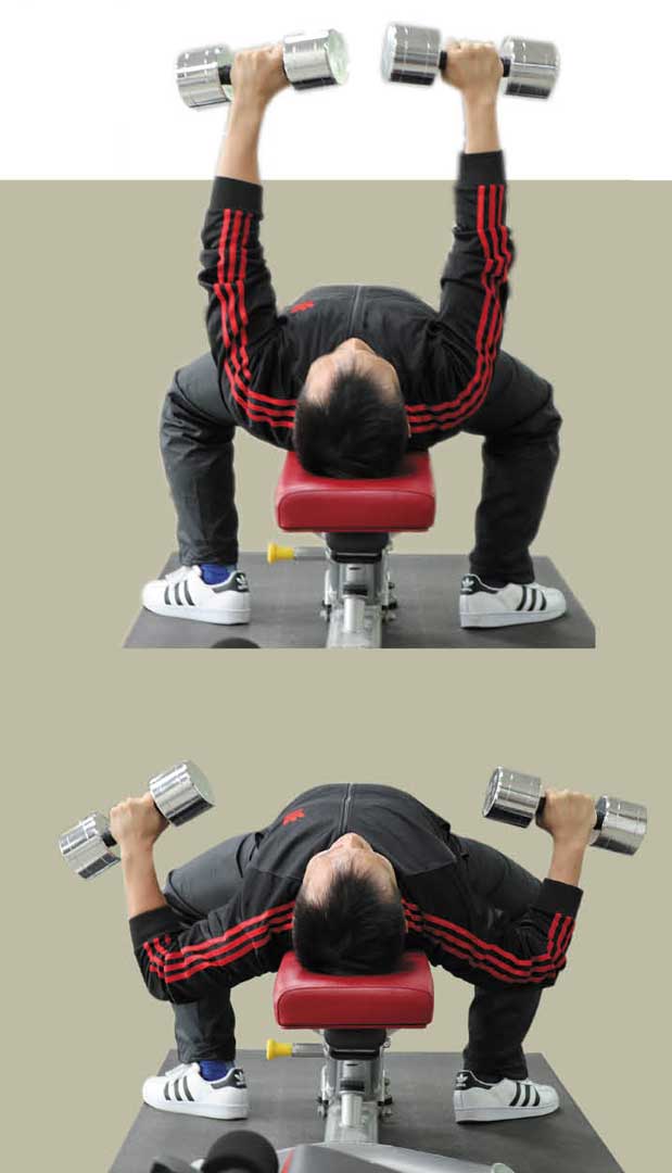 啞鈴平胸臥推
1. 身體坐在椅凳上，並將啞鈴放置大腿之上。上身向後躺平於椅凳上，同時雙腿施力將啞鈴帶起，手順勢將啞鈴帶往胸部上方，將手推直，此時整隻手與肩膀約一直線。
2. 吸氣、閉氣、核心收緊，挺胸並將背肌後收下放（整個動作全程需保持挺胸與背闊肌收緊，感覺像背肌夾緊一枝筆）。將啞鈴穩定下移至下胸處，隨後雙腳用力下踩（但不可因用力下踩而屁股離開椅面），趁力量反彈時結合手與胸部力量將啞鈴上推至頂點，上推的過程緩緩吐氣。