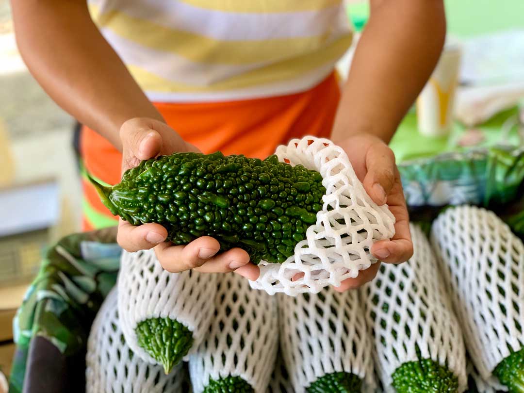 翡翠般的珍珠苦瓜。