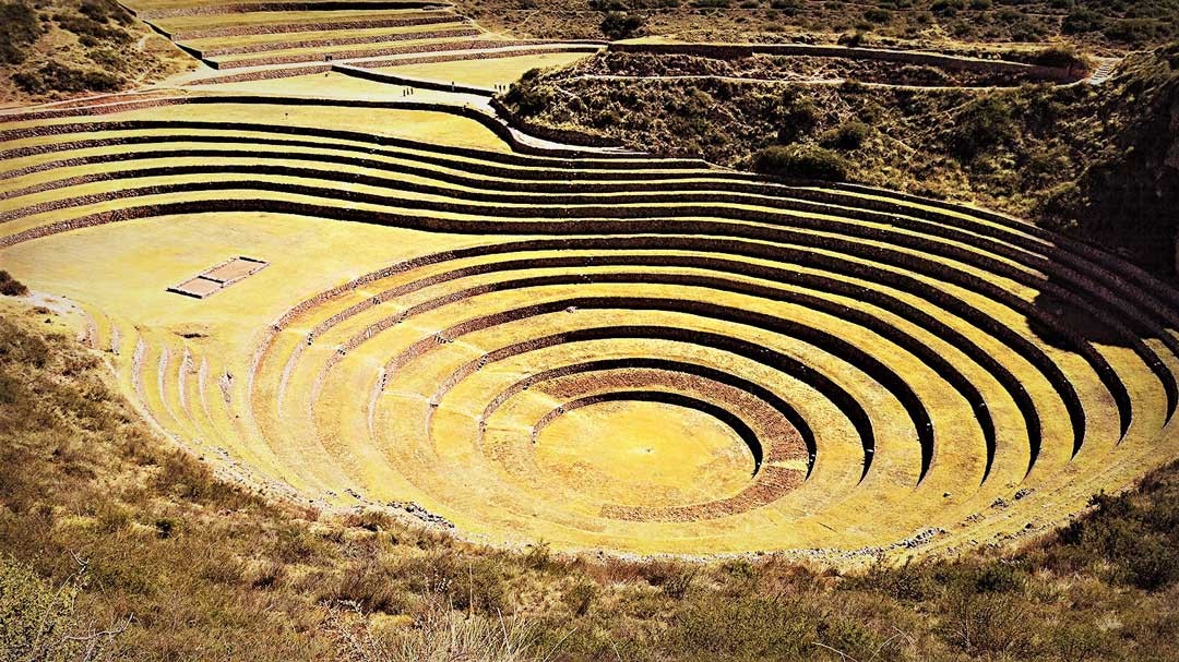印加人利用圓形梯田高度形成的溫差，種植不同作物。