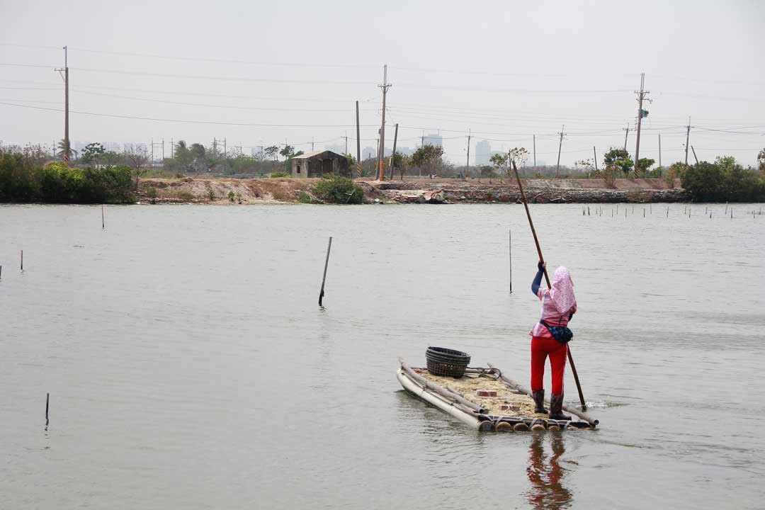 當年鄭荷大戰的地區，現今很多已成為蚵農養殖場。