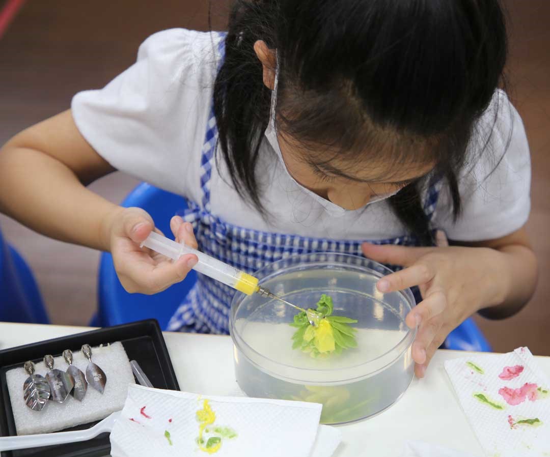 做法4：取造形花針作出花瓣，注意不要插到底，一層又一層的花片即成一朵花，最後以葉子花針，作出葉子，讓花更加生動。