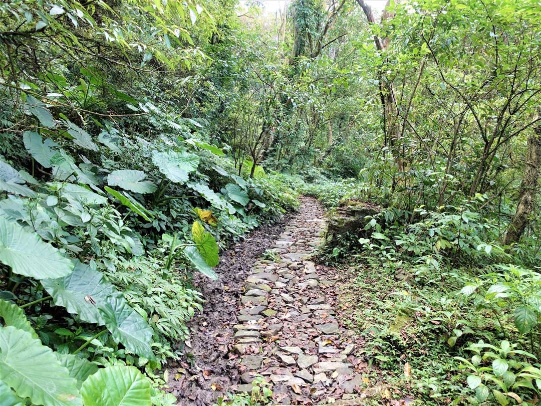 淡蘭古道完全以自然素材修復遵守復舊如舊的原則。