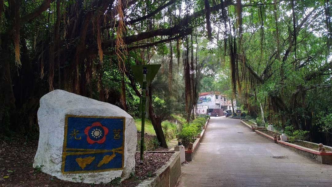 枝葉茂密、綠意盎然的樹蔭隧道，在陽光下交錯出綠色夢幻的自然景觀。