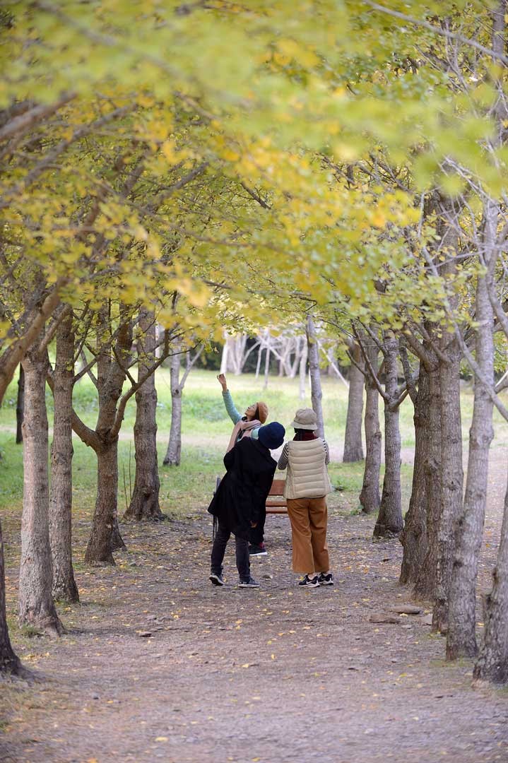 想要離開都市喧囂，武陵農場絕對是你度假首選的好去處。