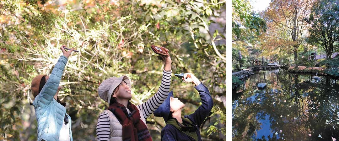 美景大飽眼福，手機快門不停，遊客拍照美不勝收。