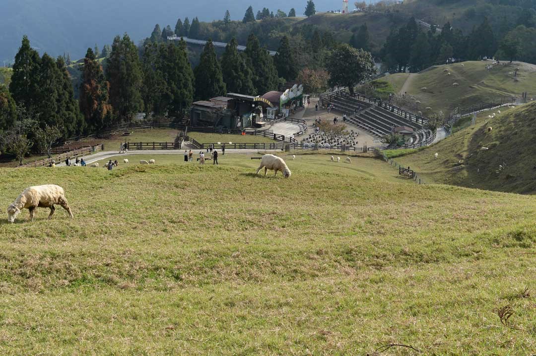 得天獨厚的高原牧野景致，讓人能夠自然的沉浸在悠閒時光裡。