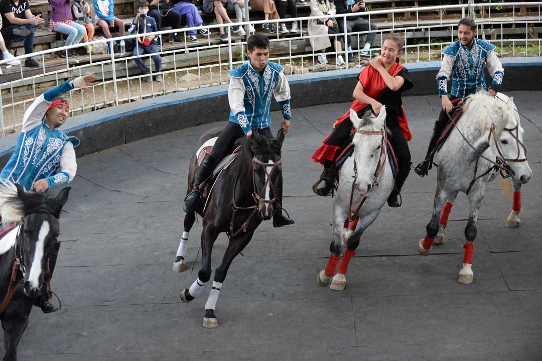 帥氣奔騰的馬術表演，是清境山野中動感的樂趣。