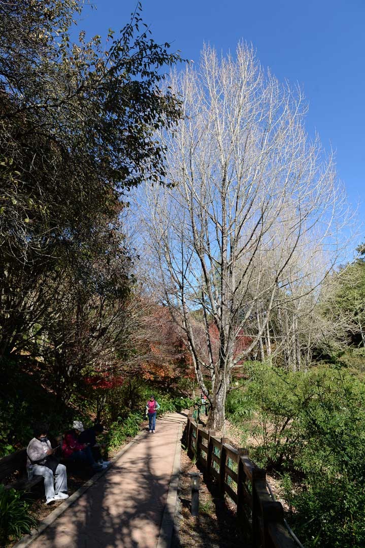 福壽山農場四季的景觀變化多端，各有不同的美麗風情，相當引人入勝。