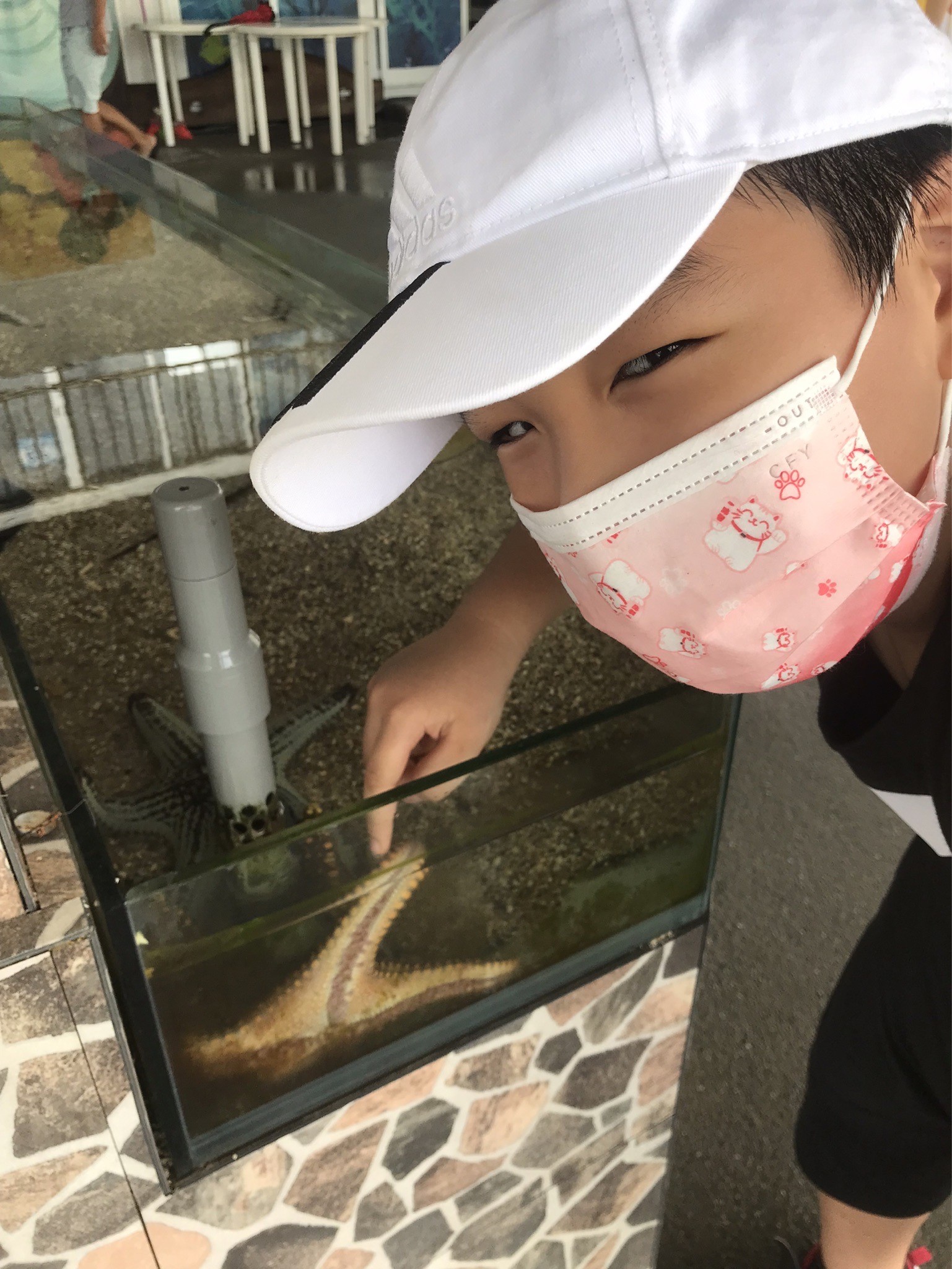 小朋友到迷你水族館，可以開心觸摸海星、鱟等動物。