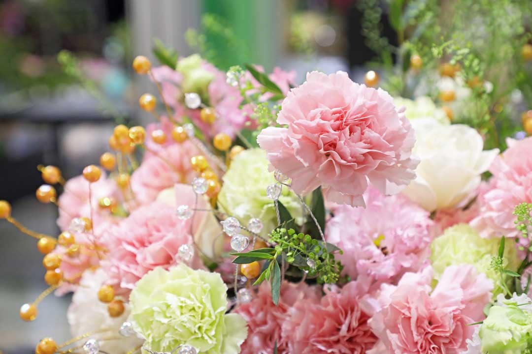 康乃馨散發著淡淡馨香，有如母親的味道令人安心放鬆。