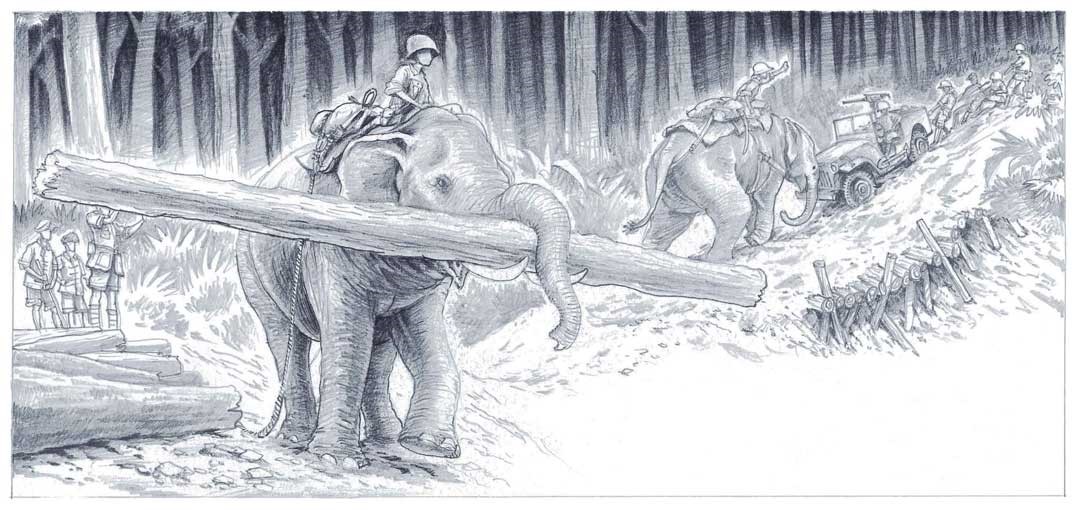 戰象林旺在叢林工作。