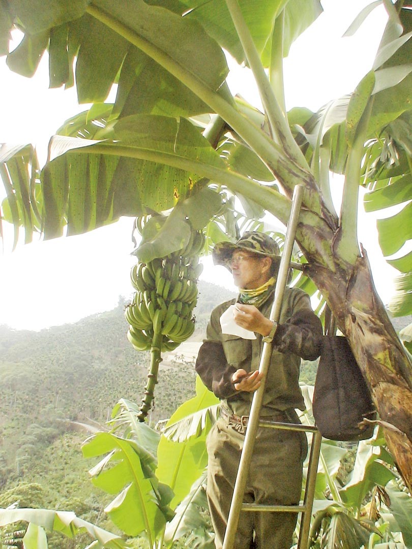 劉晃賓用心經營有機農場，努力保持自然生態的平衡。