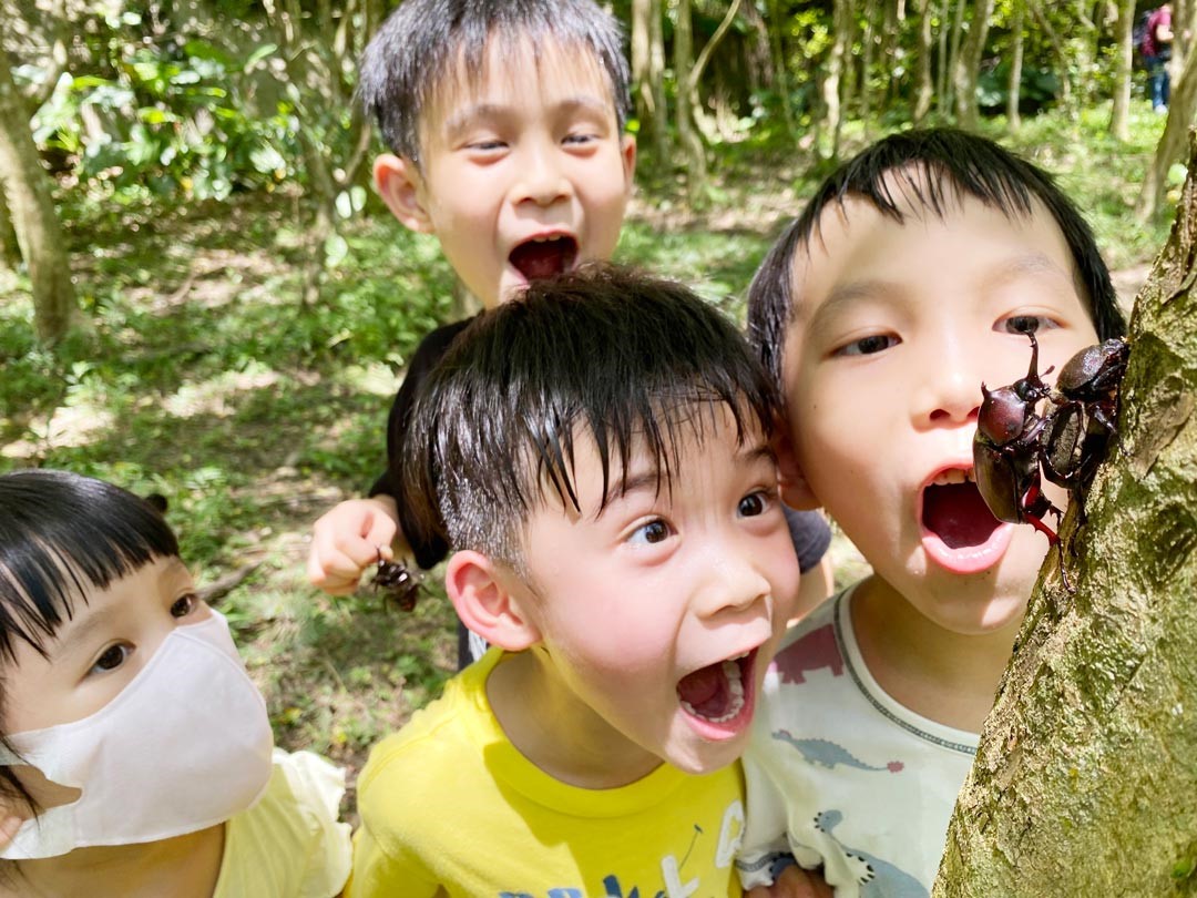 每到了夏天就是孩子最愛的獨角仙季節。