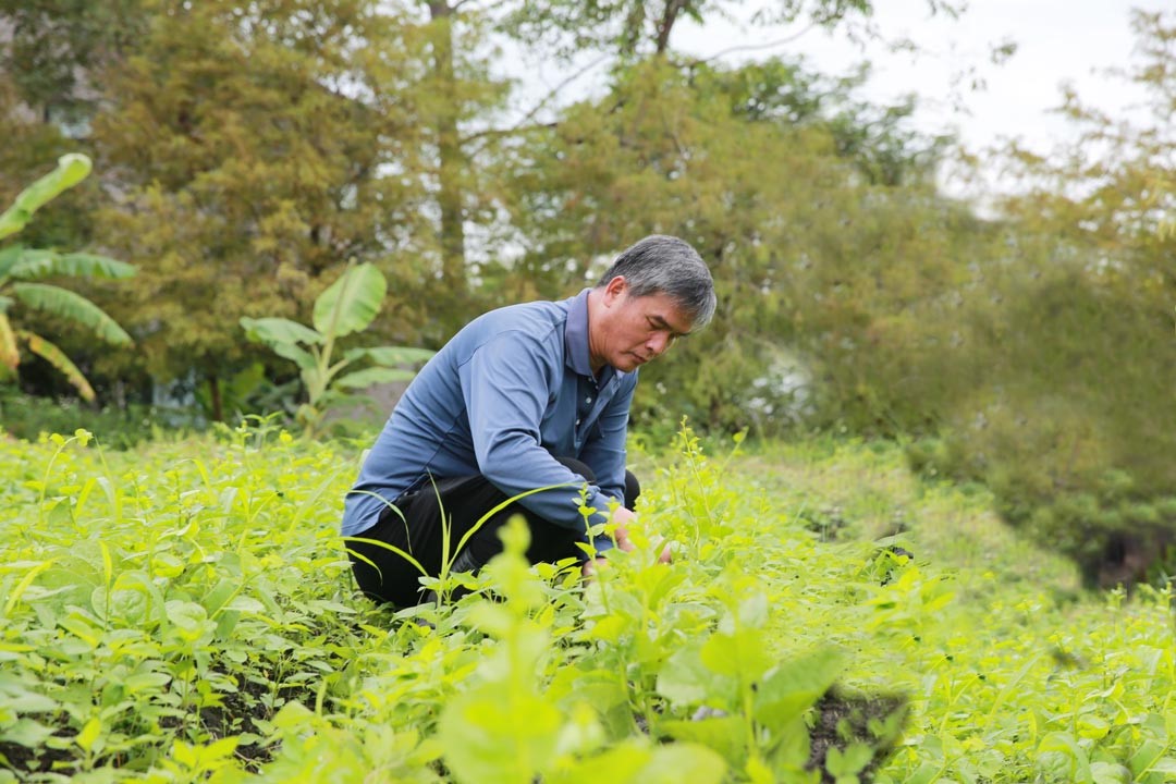 周畢英書懷抱感恩的心，以有機方式務農，推廣健康的農產品。