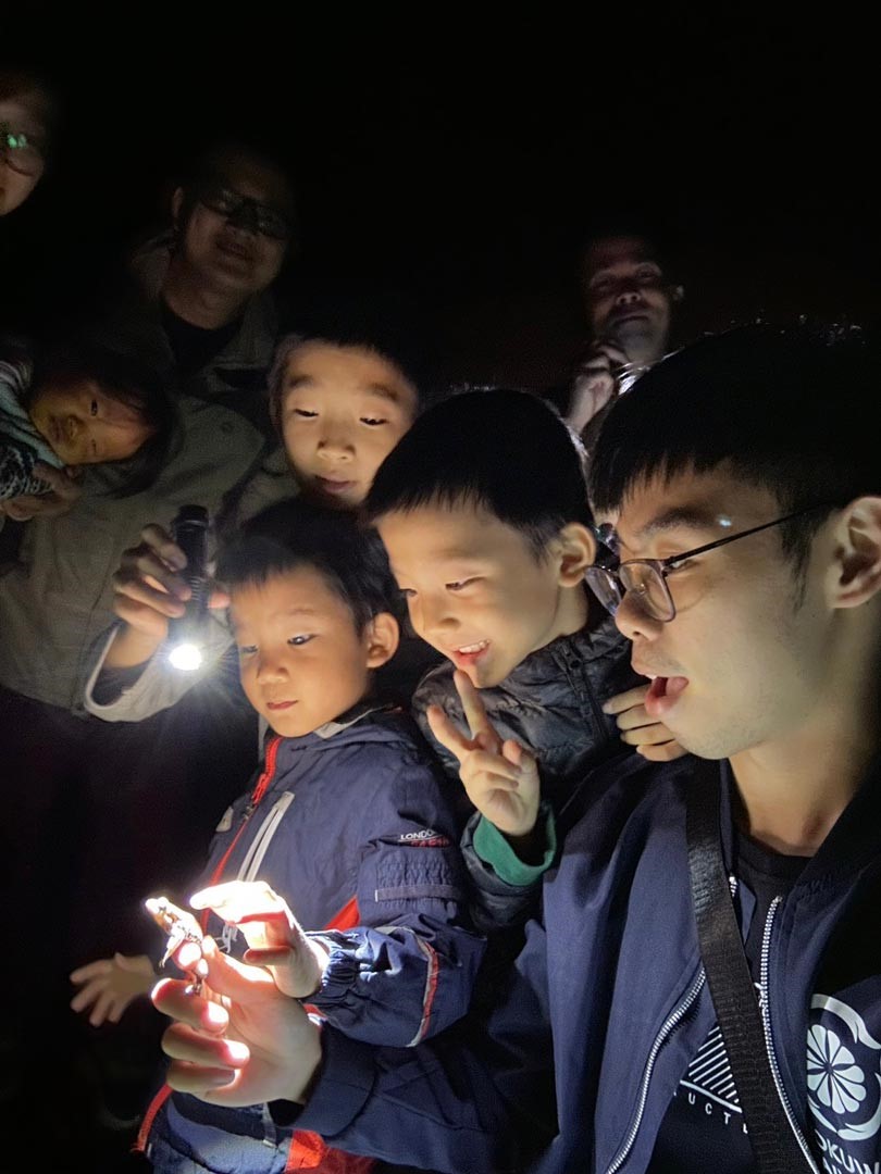 夜觀時總能遇到許多不同的生物，這是許多人第一次用手摸蟾蜍。