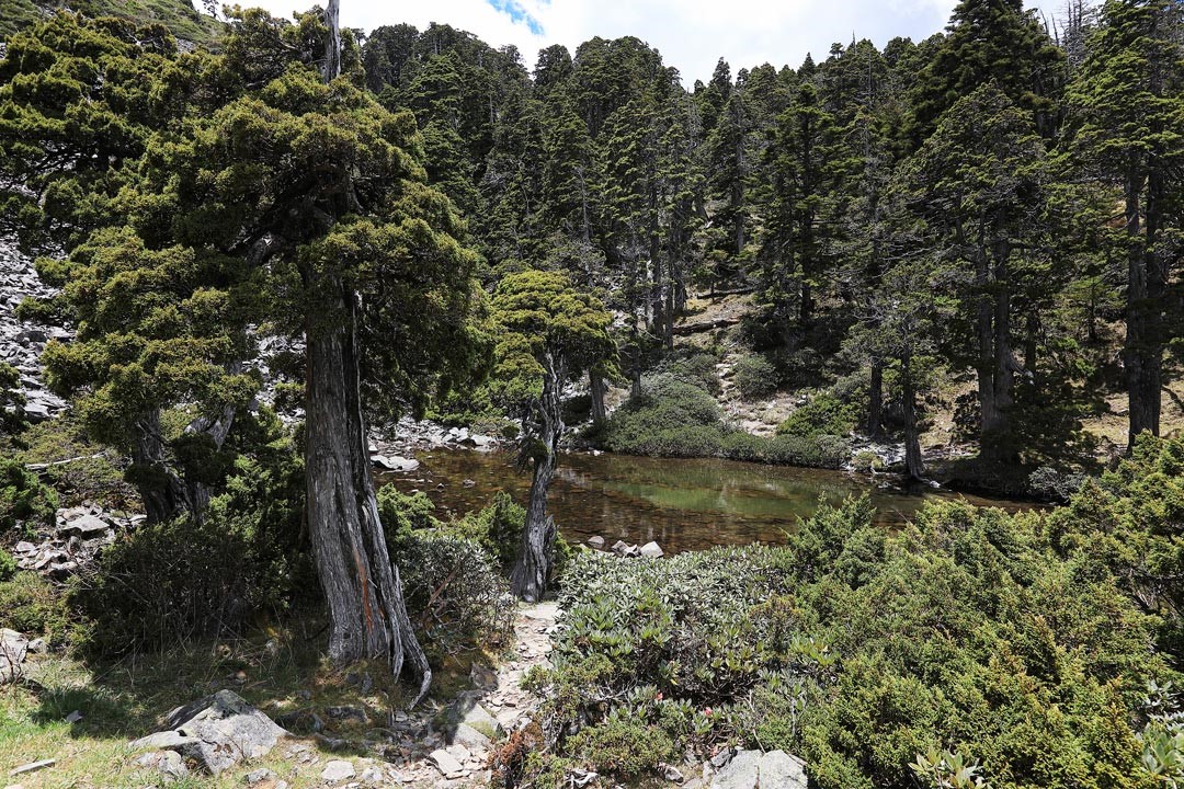 被玉山圓柏環繞的翠池，是臺灣唯一終年不涸的活水冰斗湖。