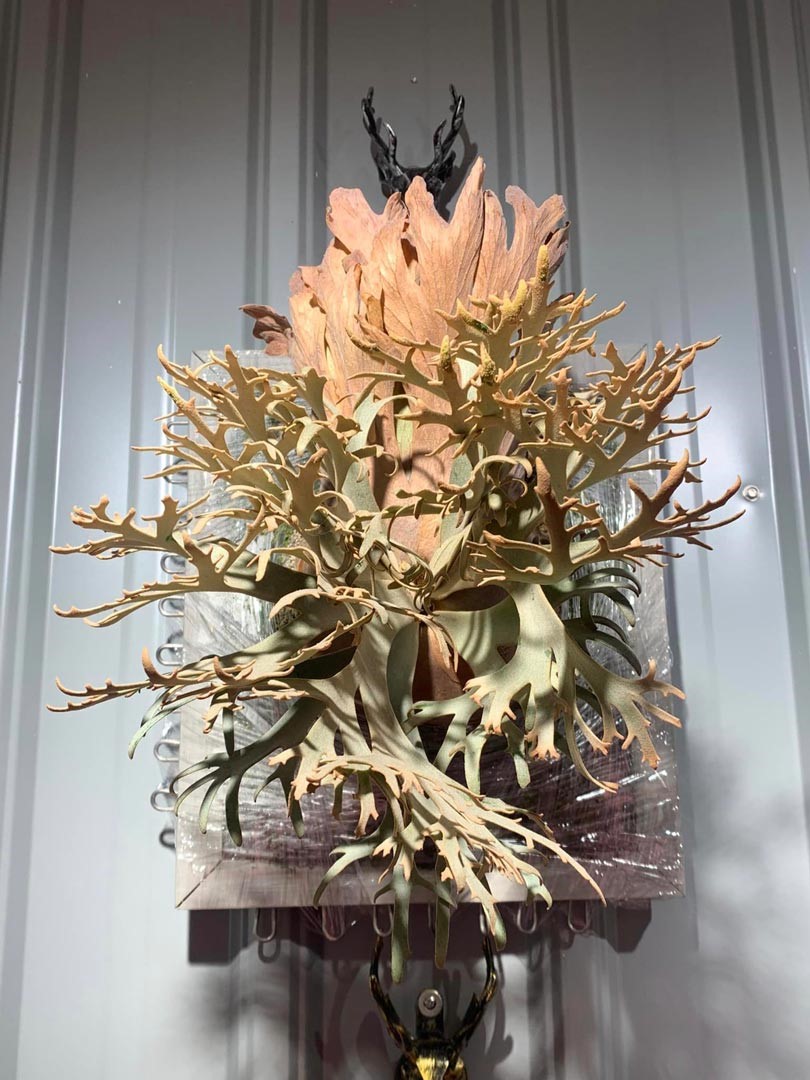 利用木材工藝和植生藝術相結合，透過植物吊掛在牆上栽培的簡單方式，在家種植方便，也能為生活增添一抹鮮綠和希望。