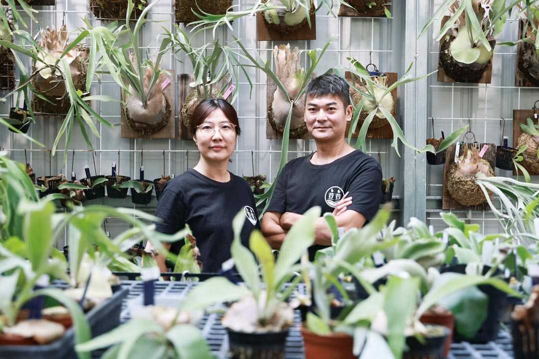 林奇漢和太太鍾惠娟一起打造「鹿海」生活。