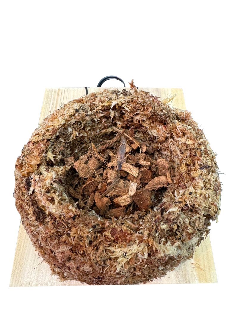 步驟：2水草泡水微濕潤後，再放在木板上塑形。